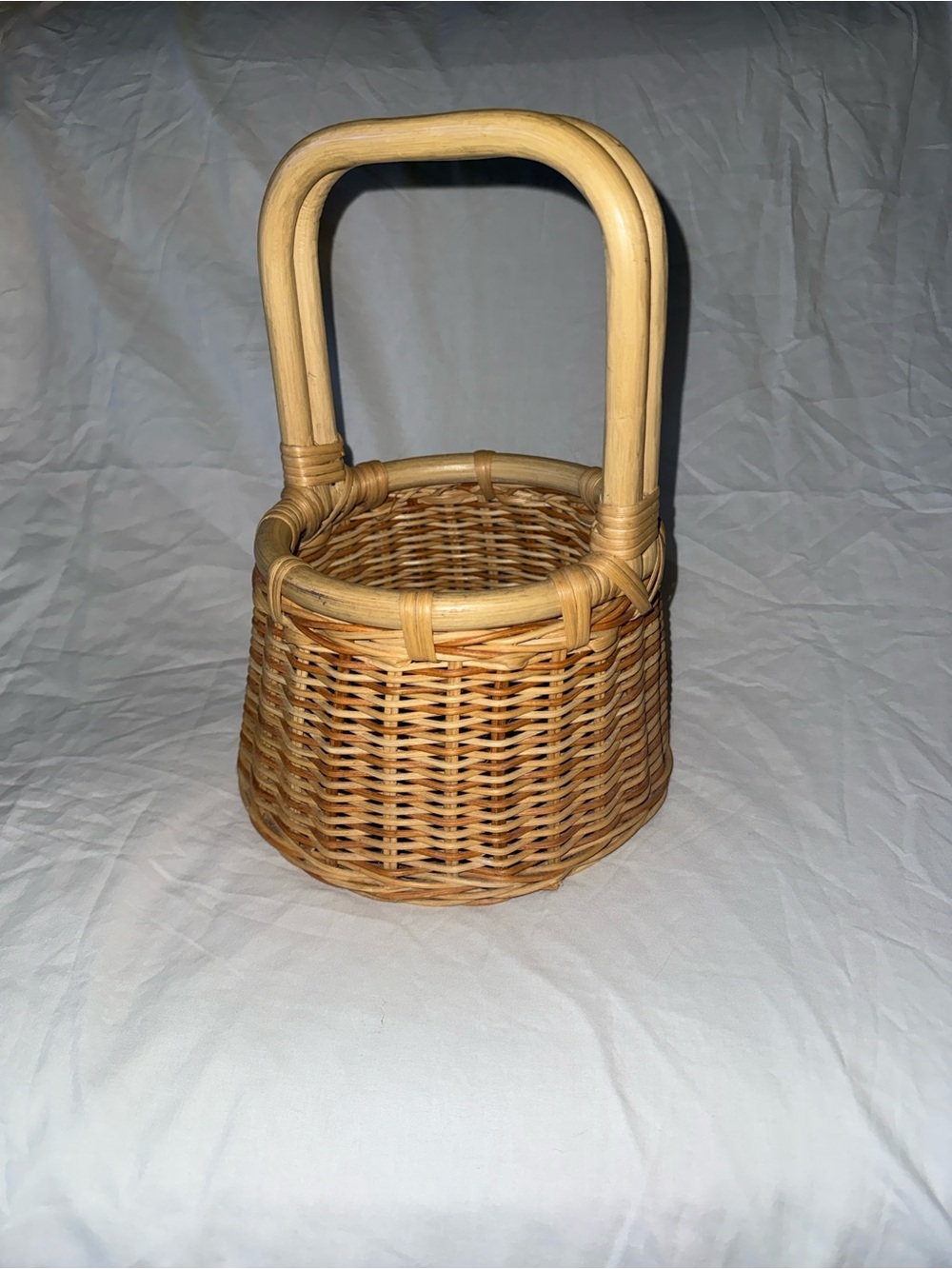 Woven Round Handle Basket Bag in Natural Tan